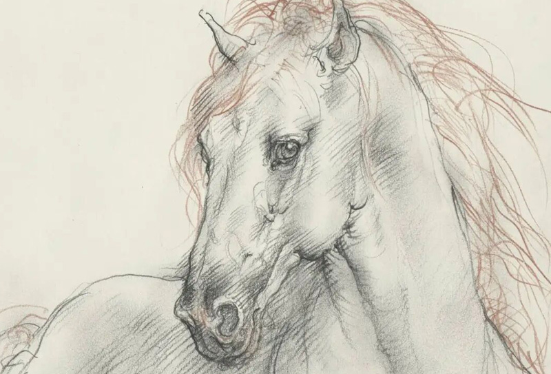 中國(guó)美術(shù)家協(xié)會(huì)副主席龐茂琨素描生肖-賀新年